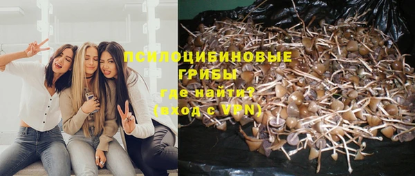 мдпв Медногорск