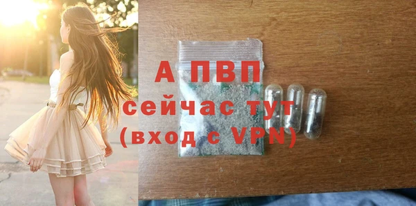 СК Абаза