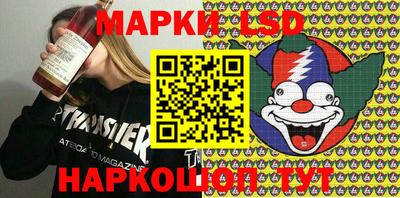 индика Кандалакша