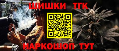 индика Кандалакша