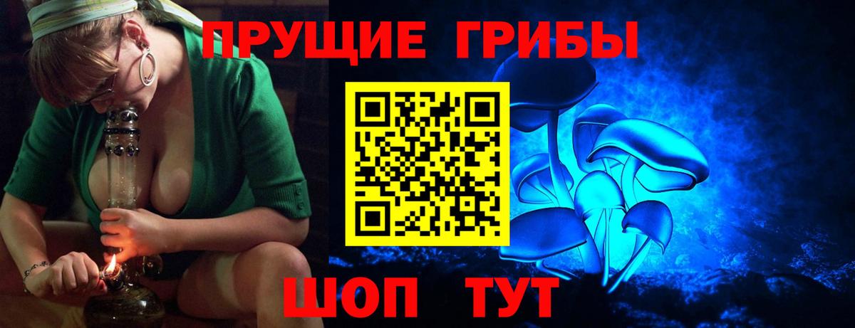 Псилоцибиновые грибы прущие грибы  Вход с VPN  Псилоцибиновые грибы Psilocybine cubensis  Отрадное 