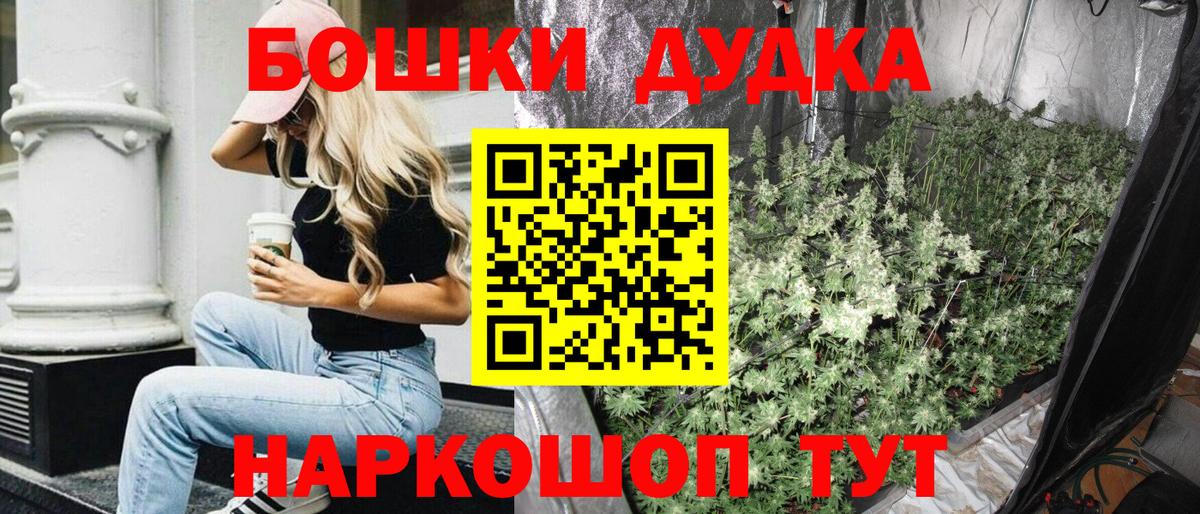 Бошки марихуана OG Kush Отрадное